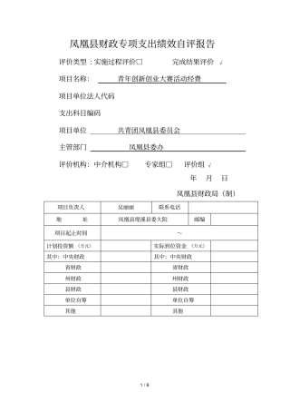 凤凰财政专项支出绩效自评报告