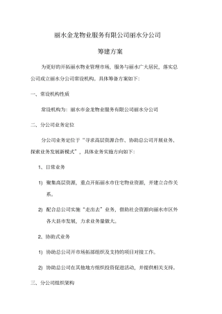 分公司筹建方案新编