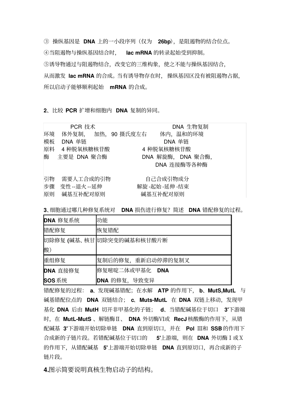 分子生物学终极复习资料讲解_第3页