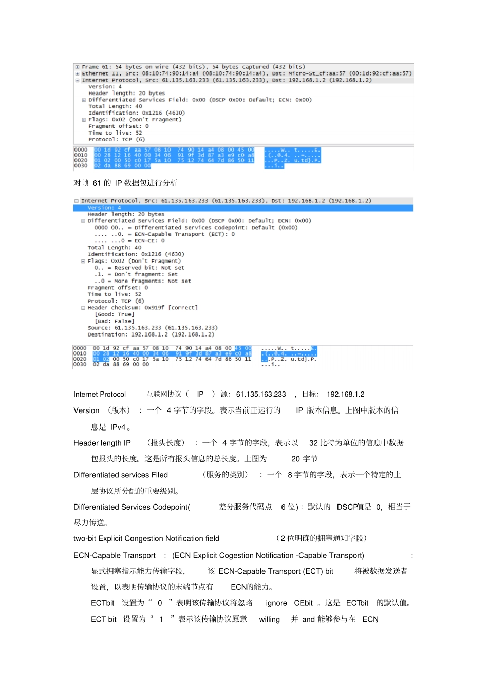 分析IP协议数据包格式_第2页