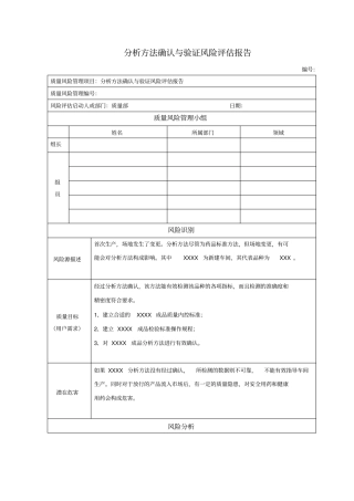 分析方法确认与验证风险评价报告