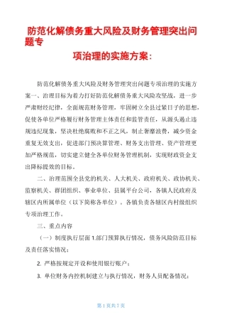 防范化解债务重大风险及财务管理突出问题专项治理的实施方案-