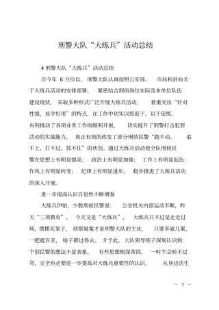 刑警大队大练兵活动总结