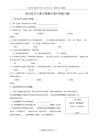 初中化学上册计算题专项归类练习题