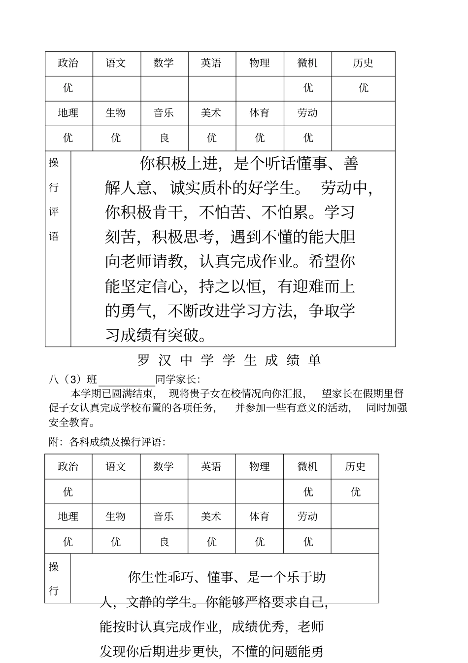 初中学生成绩报告单模板_第3页