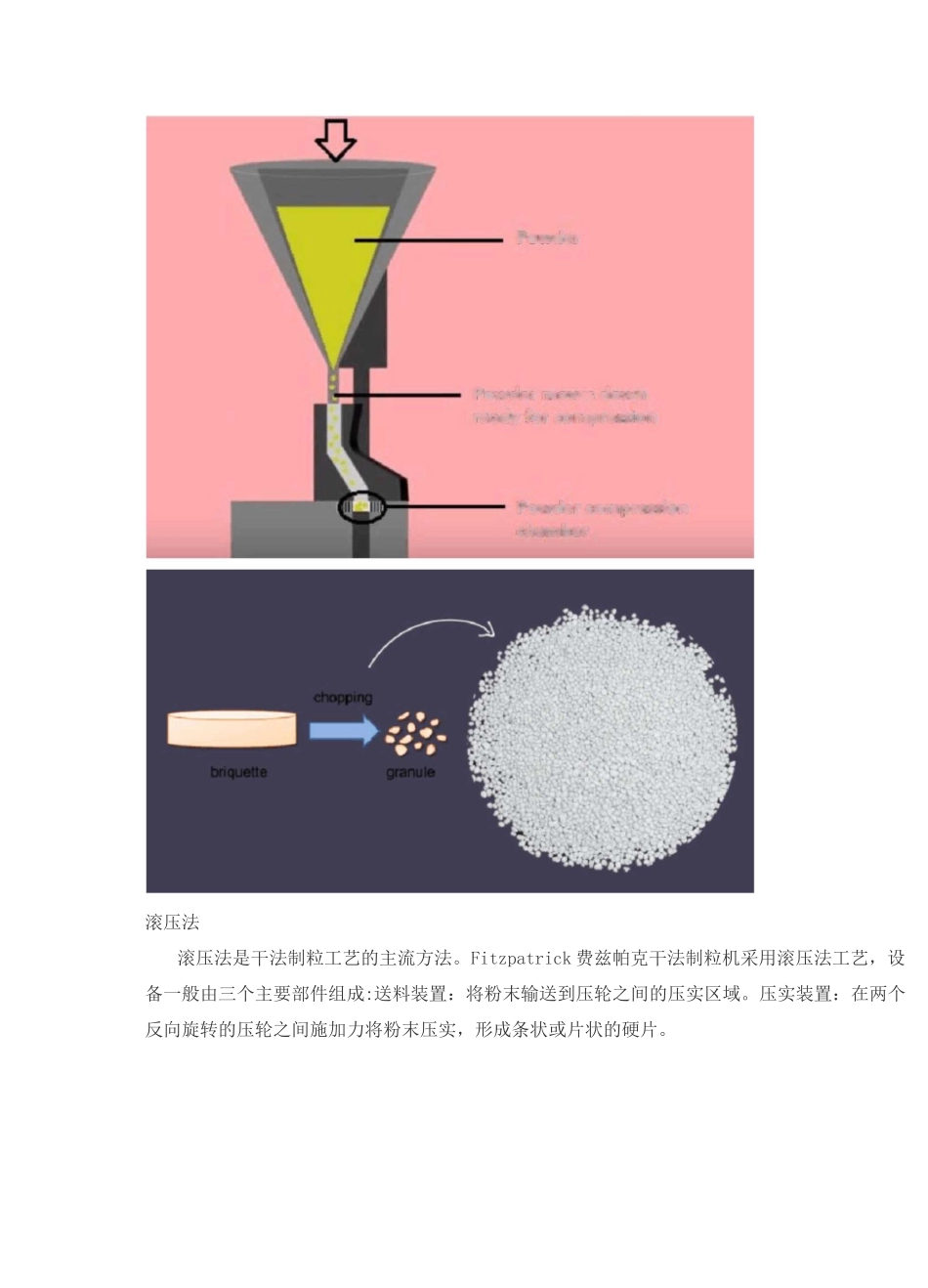 干法制粒工艺_第2页