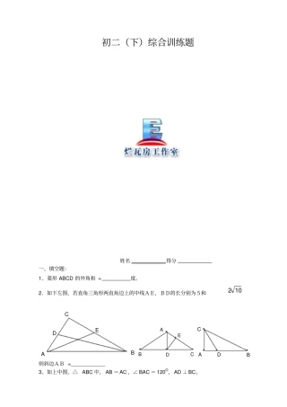 初二下综合题四边形与相似