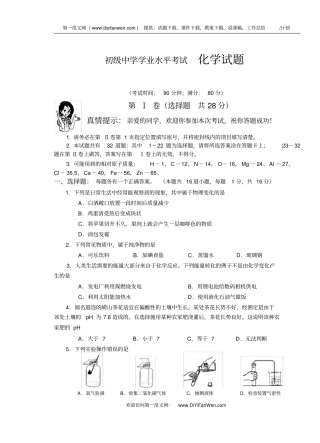 初级中学学业水平考试化学试题
