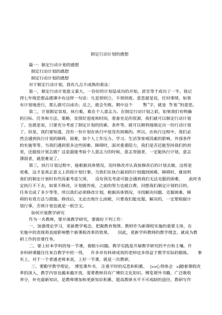 制定行动计划的感想