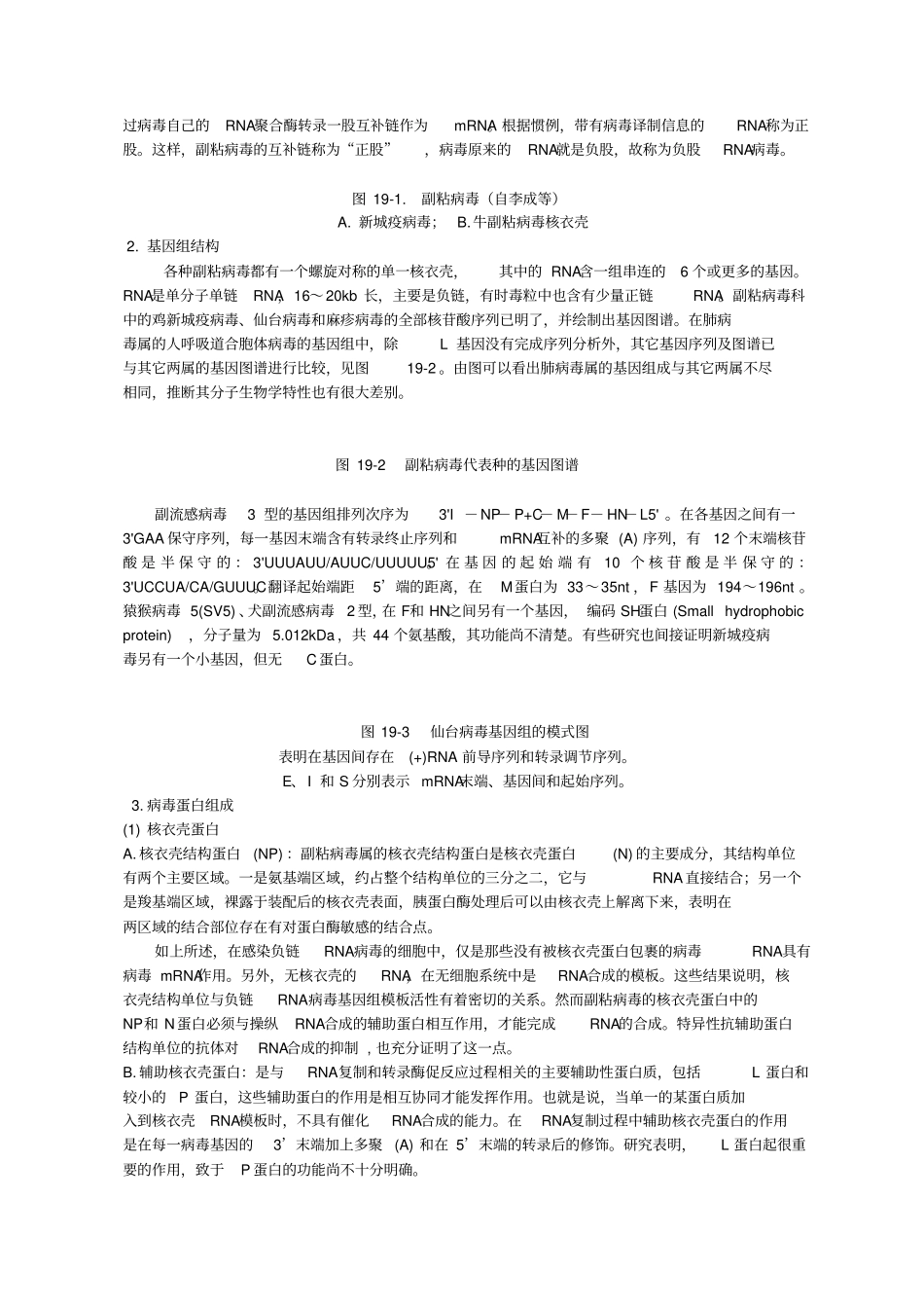 副粘病毒科Paramyxoviridae资料_第2页