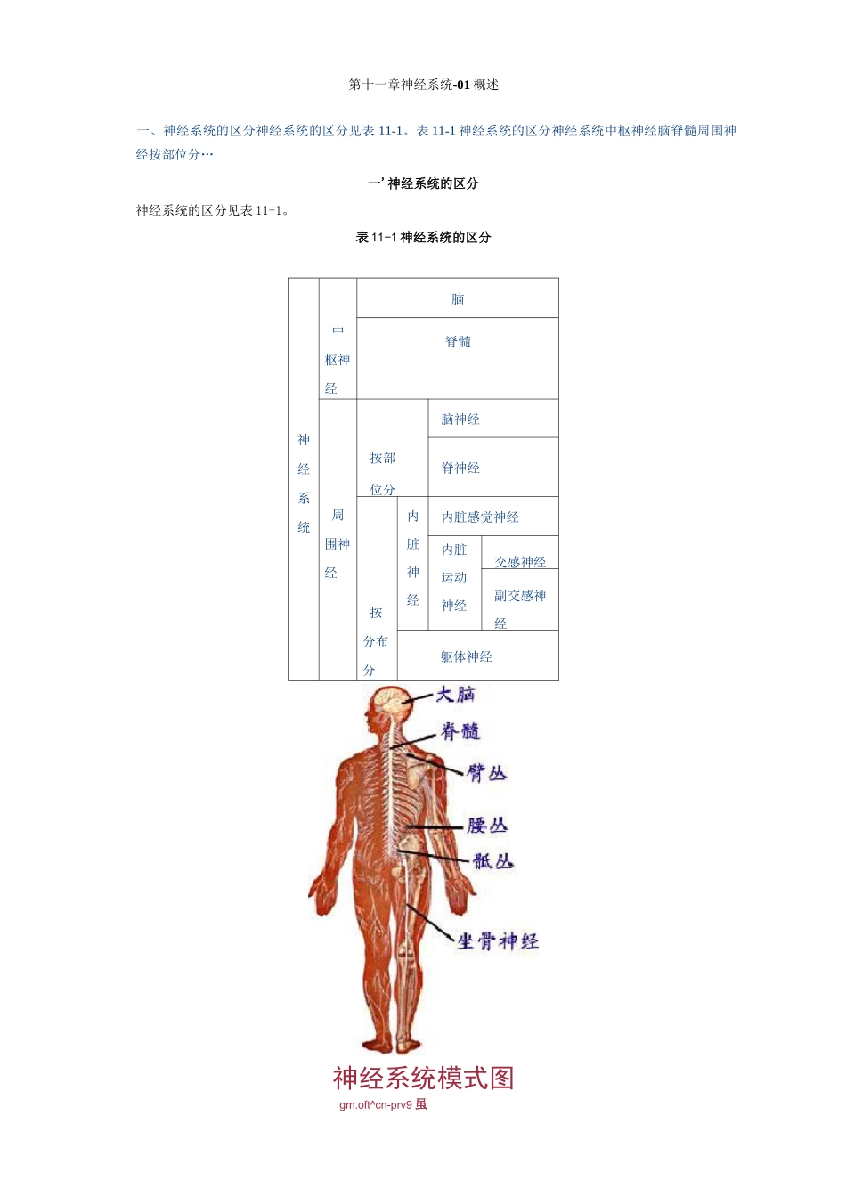 神经内科基本功_第1页