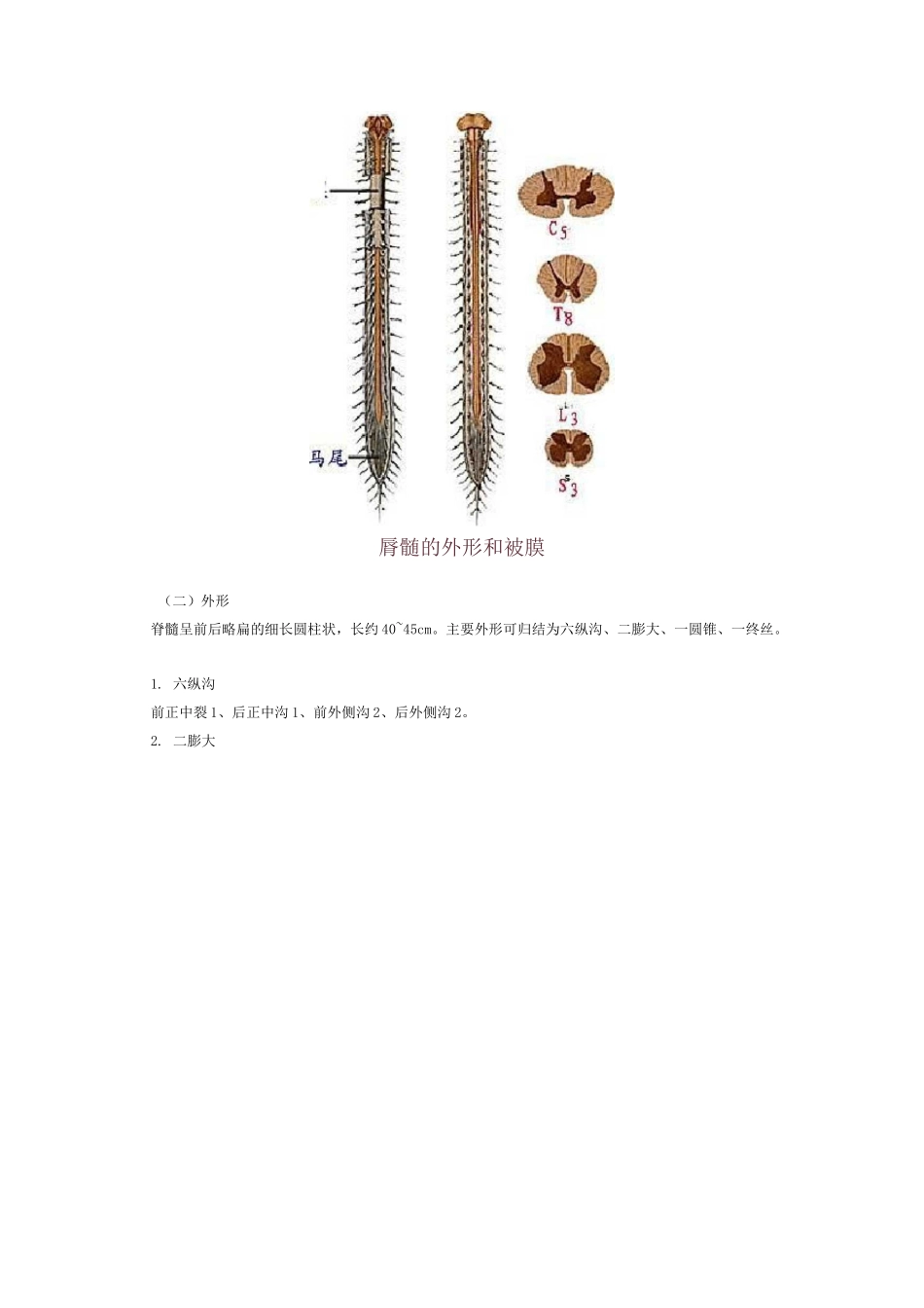 神经内科基本功_第3页