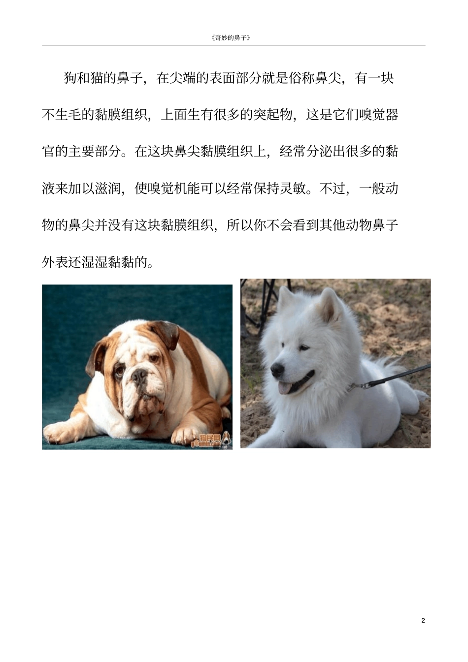 动物鼻子功能_第2页