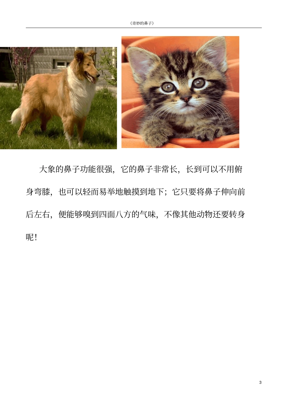 动物鼻子功能_第3页