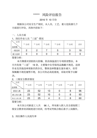 化工企业月度隐患评价报告