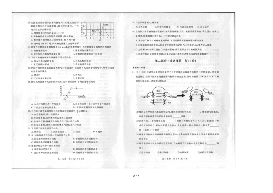 北京东城区2018_2019学年高一生物上学期期末检测试题_第2页