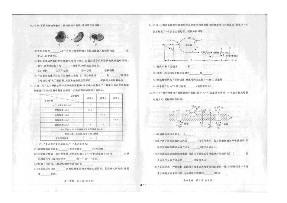 北京东城区2018_2019学年高一生物上学期期末检测试题_第3页