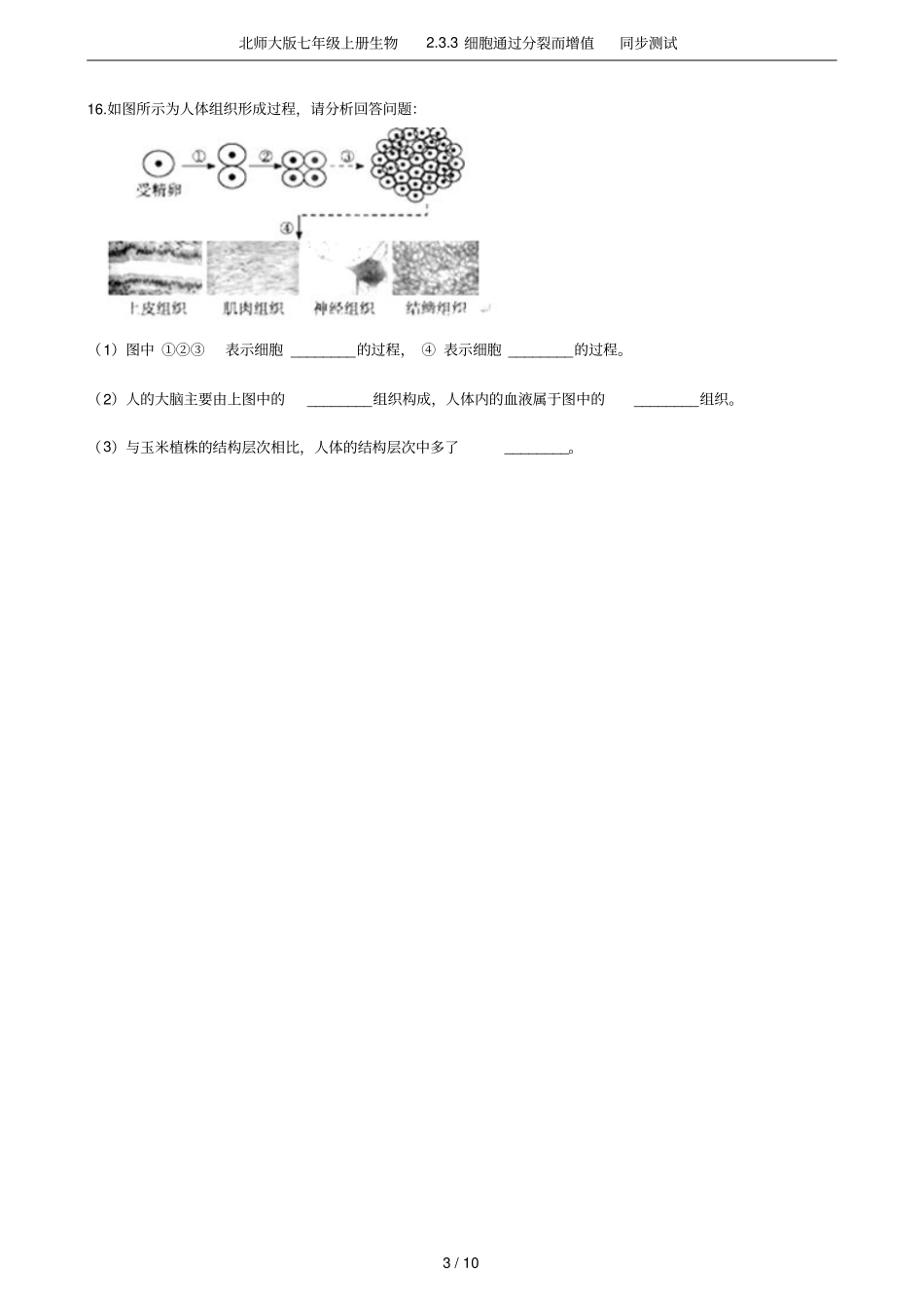 北师大版七年级上册生物3细胞通过分裂而增值同步测试_第3页