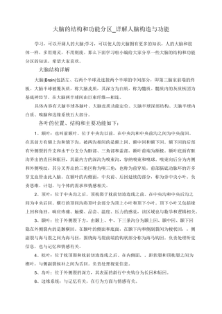 大脑的结构和功能分区_详解人脑构造与功能