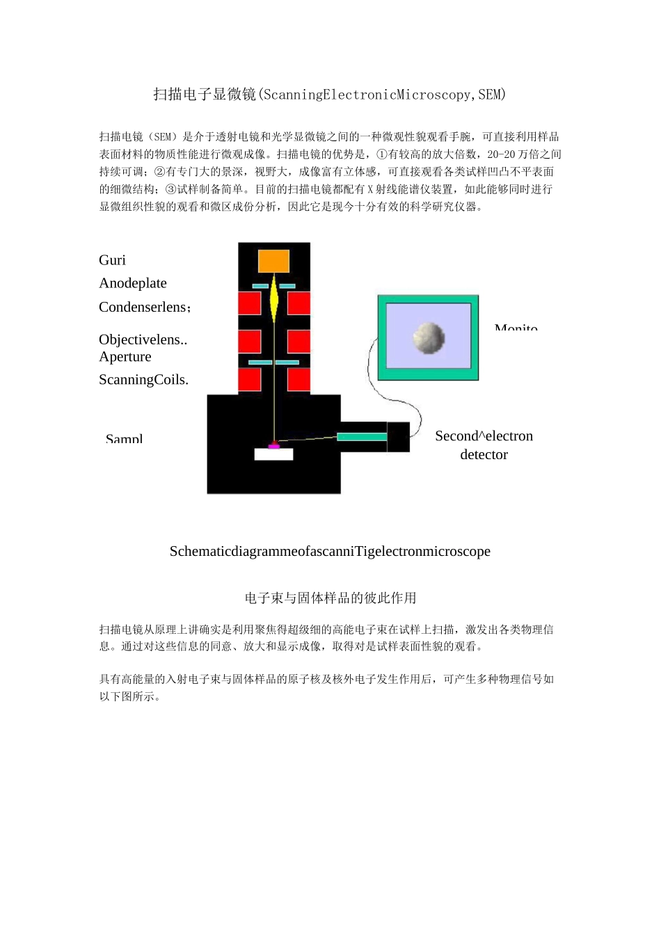 SEM(扫描电子显微镜)的原理_第1页