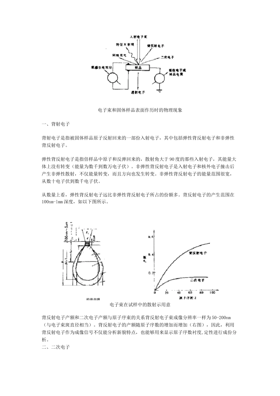 SEM(扫描电子显微镜)的原理_第2页