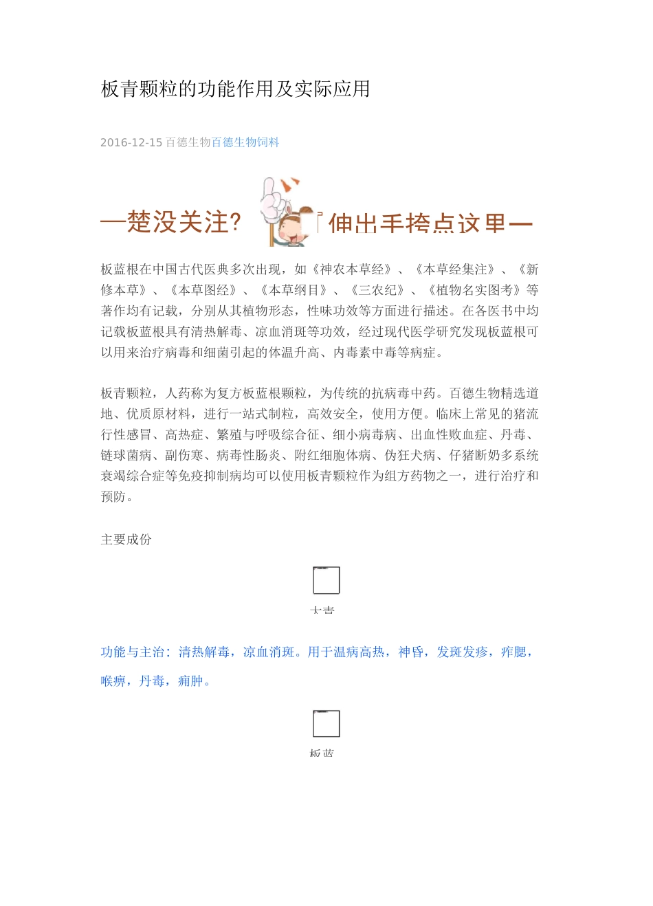 板青颗粒的功能作用及实际应用_第1页
