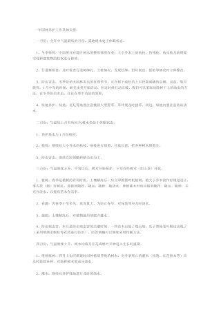 一年养护方案