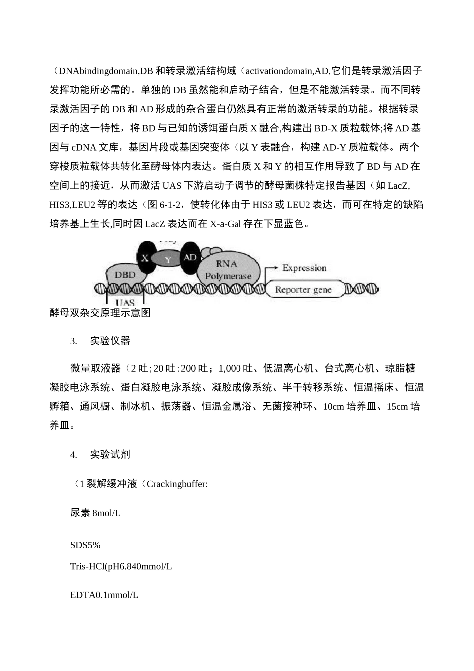 酵母双杂交实验流程_第3页