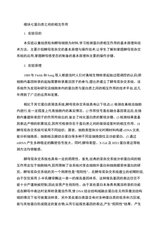 酵母双杂交实验流程