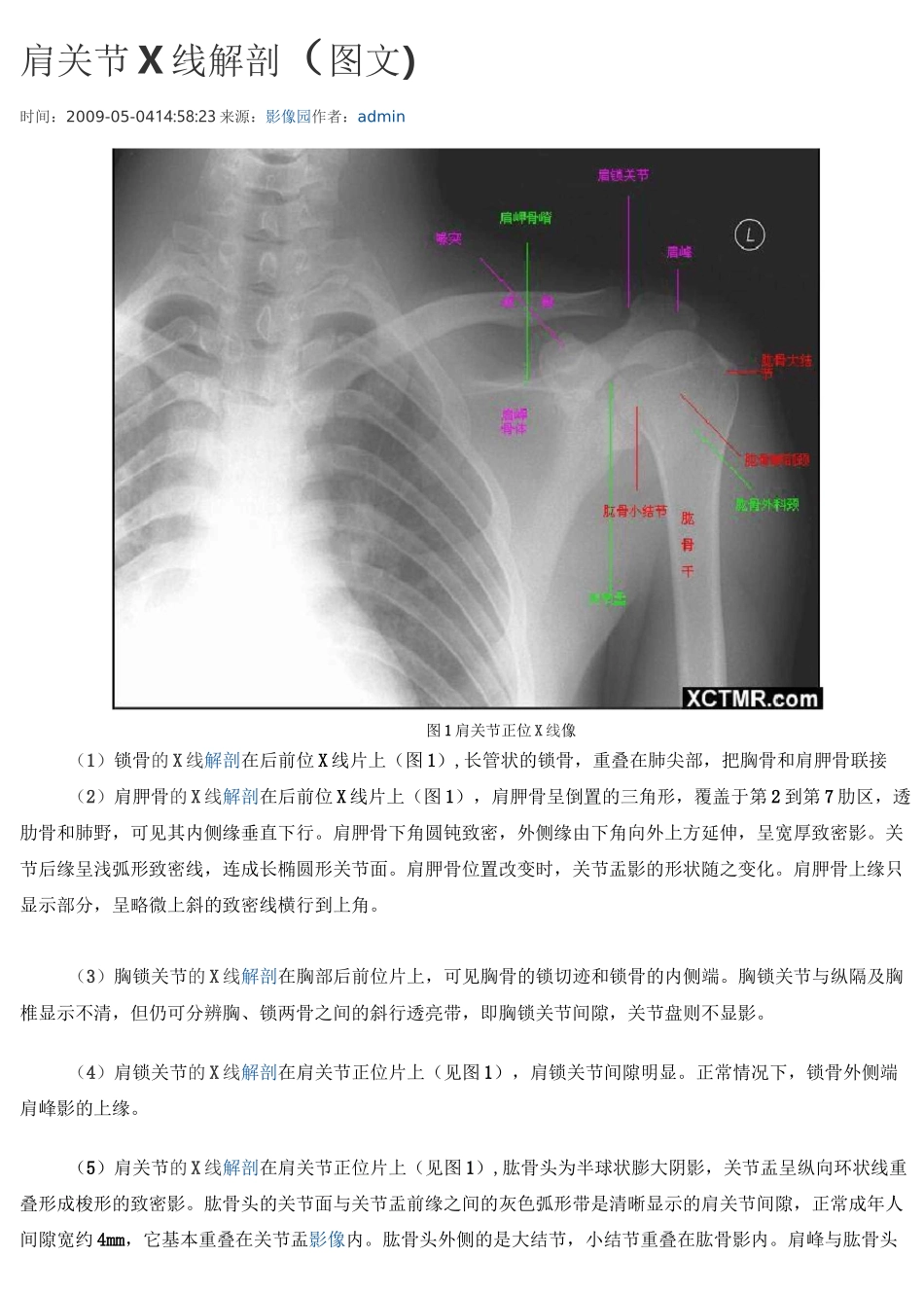 骨科X线解剖(四肢、关节)讲解_第3页