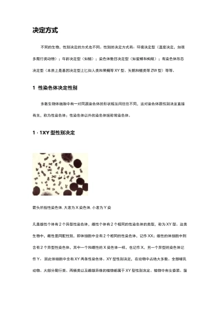 生物性别决定方式