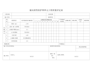 被动柔性防护网施工表格
