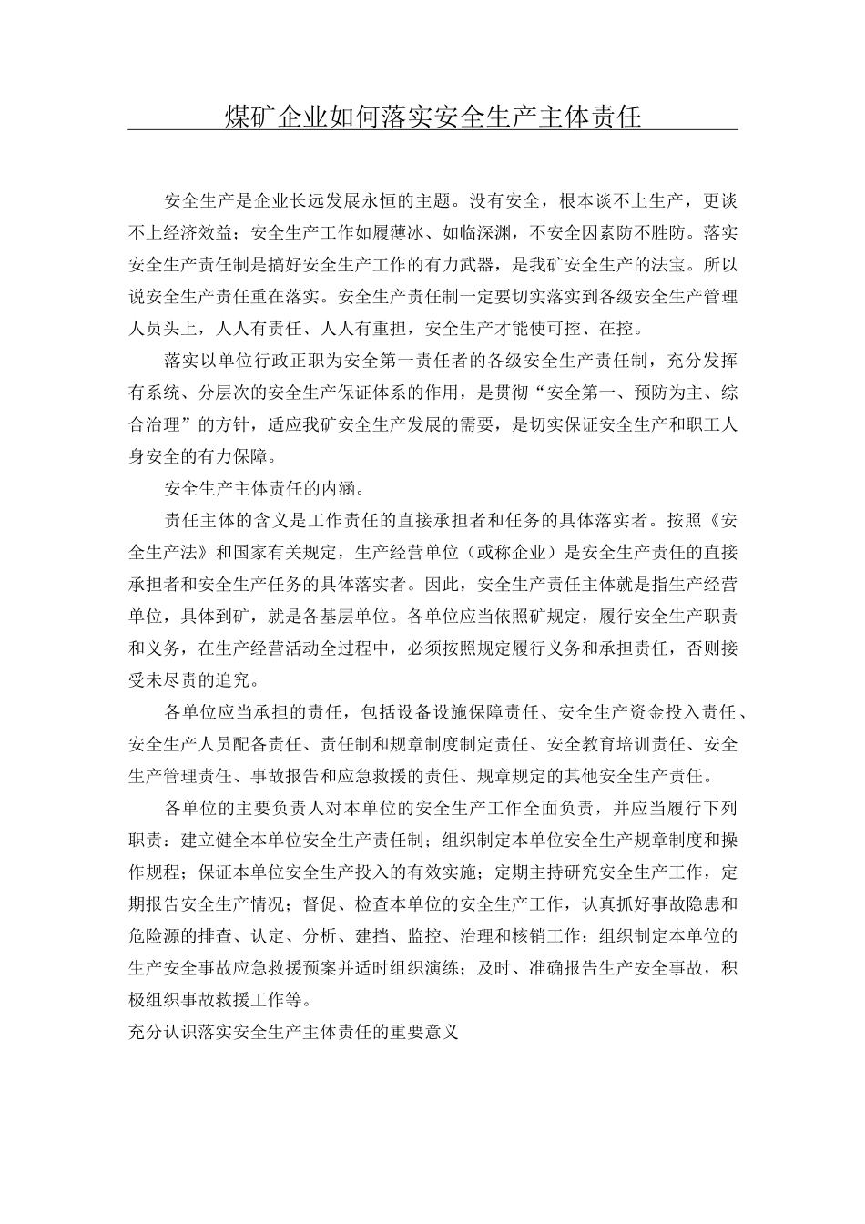 如何落实安全生产主体责任_第1页