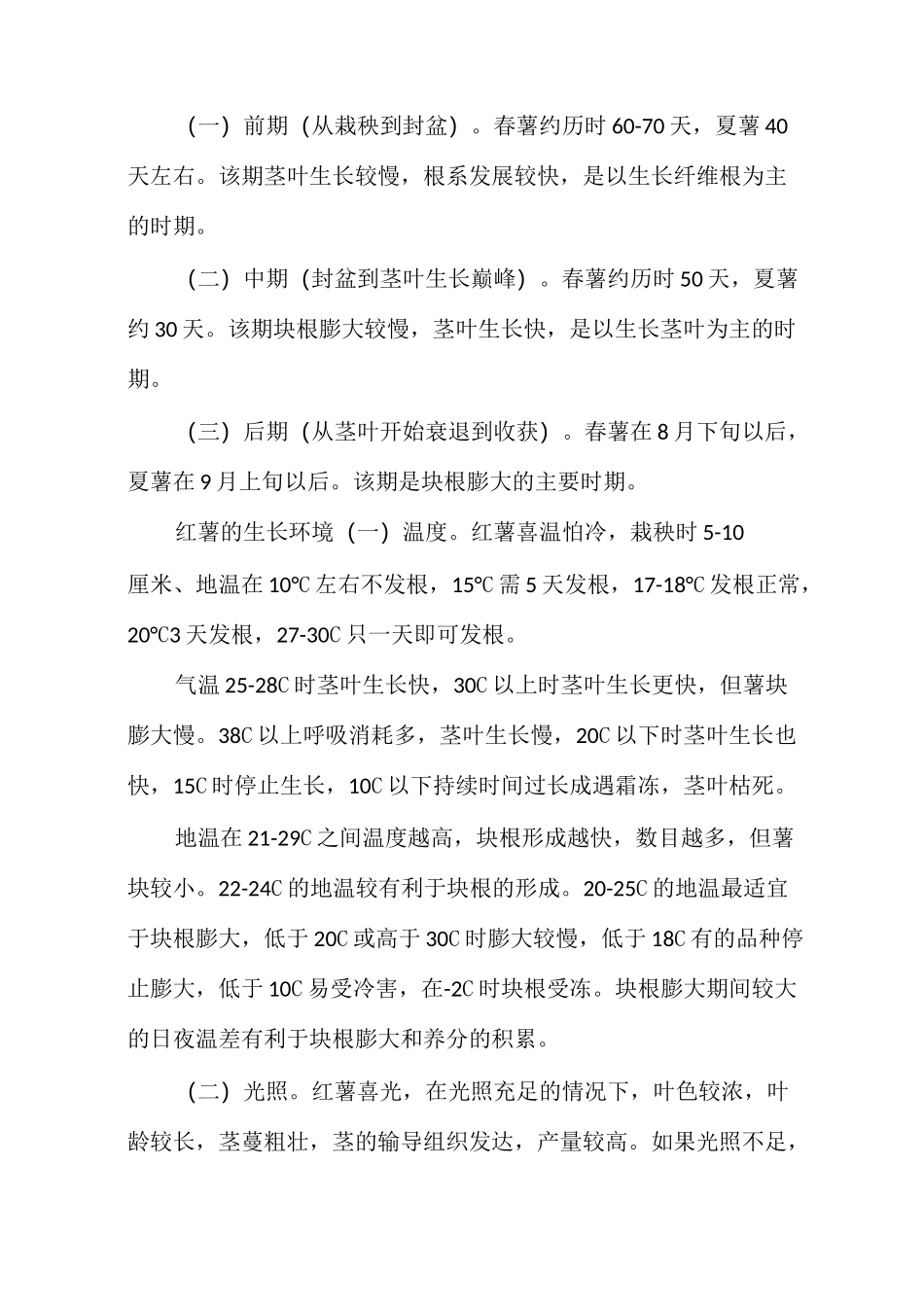 红薯的种植方式_第2页