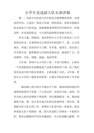 小学生竞选副大队长演讲稿