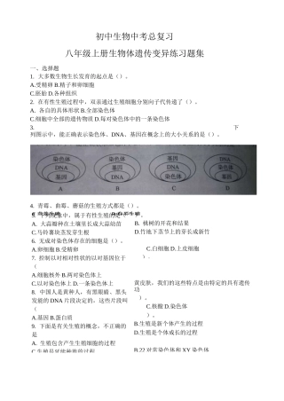 初中生物中考总复习  生物遗传变异练习题集