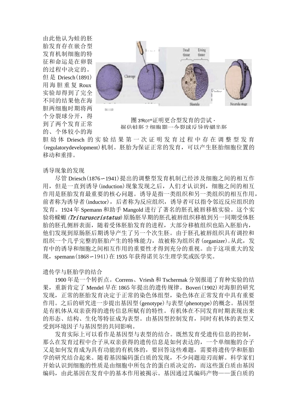 干细胞和发育生物学_第3页