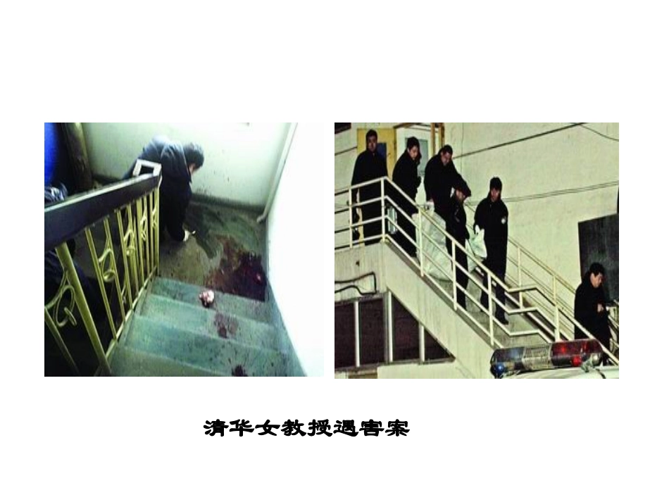 第三章证据的种类_第3页