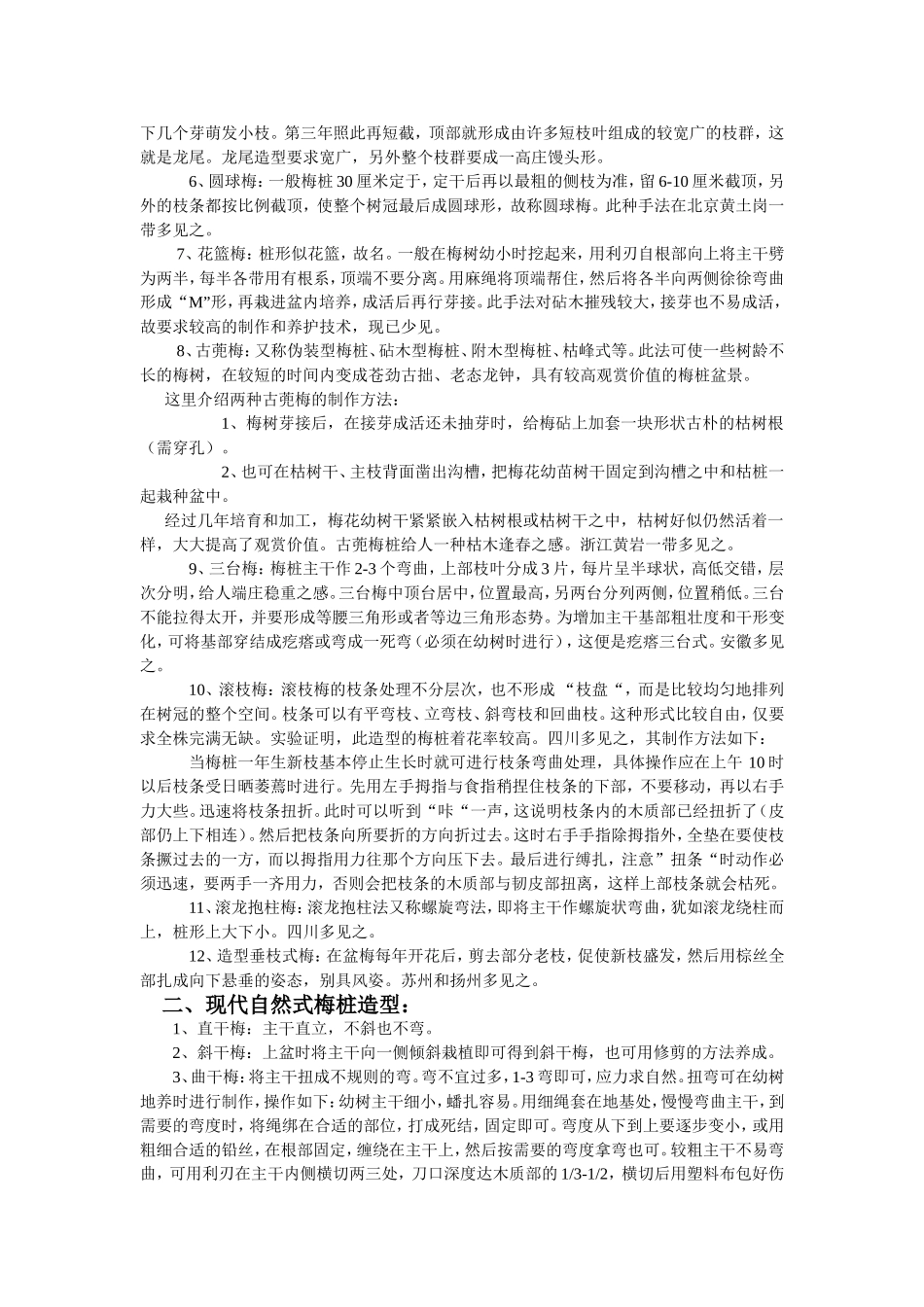 梅桩盆景设计_第2页