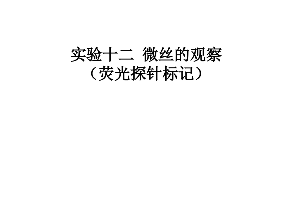 实验十二  微丝的观察(荧光探针标记)_第1页
