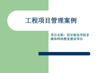 工程项目管理案例
