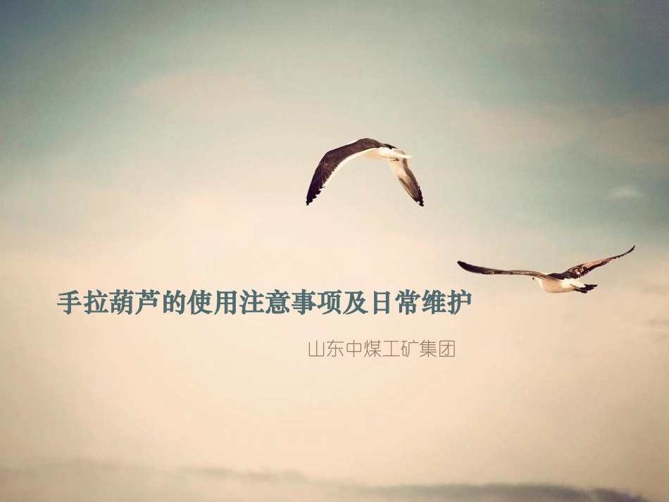 手拉葫芦的使用注意事项及日常维护_第1页