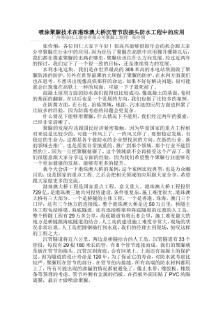 喷涂聚脲技术在港珠澳大桥沉管节段接头防水工程中的应用