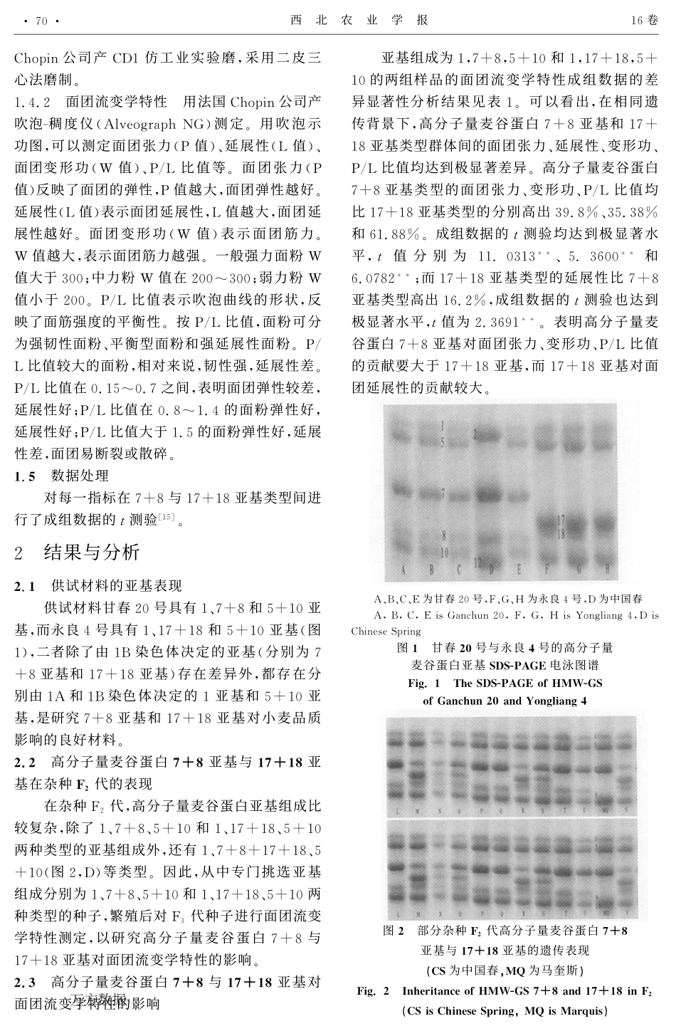 相同遗传背景下7+8与17+18亚基对面团流变学特性的影响_第3页