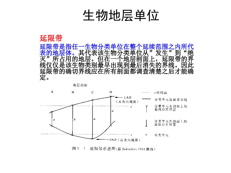 生物地层单位_第1页