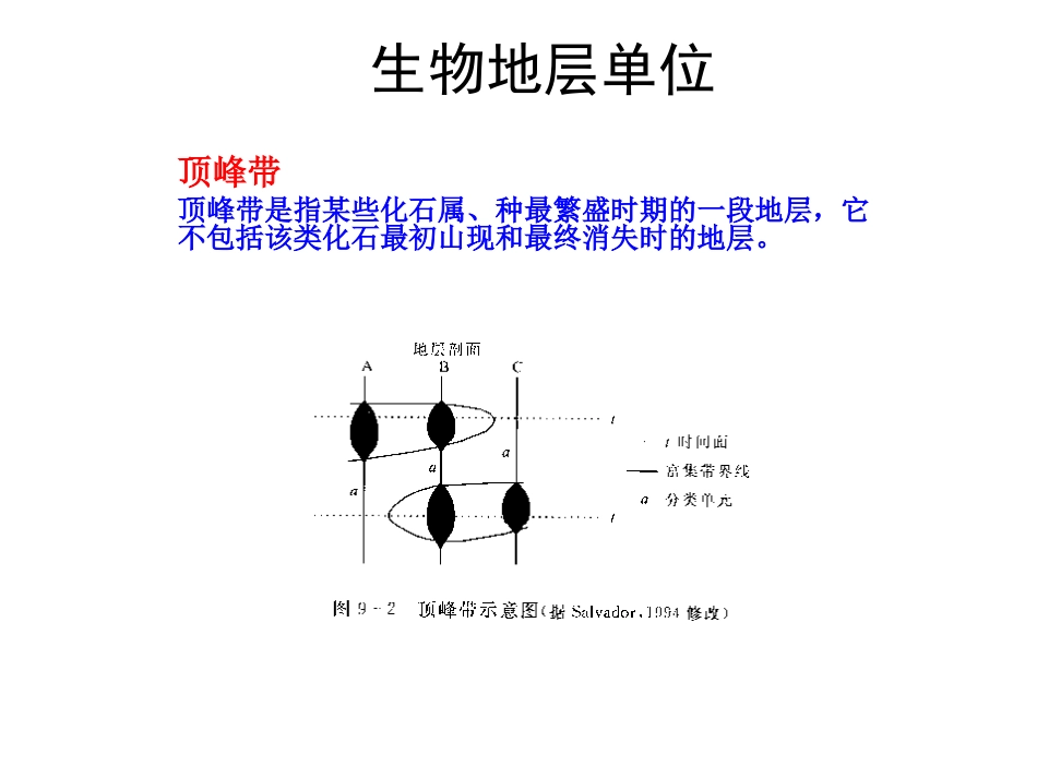 生物地层单位_第2页