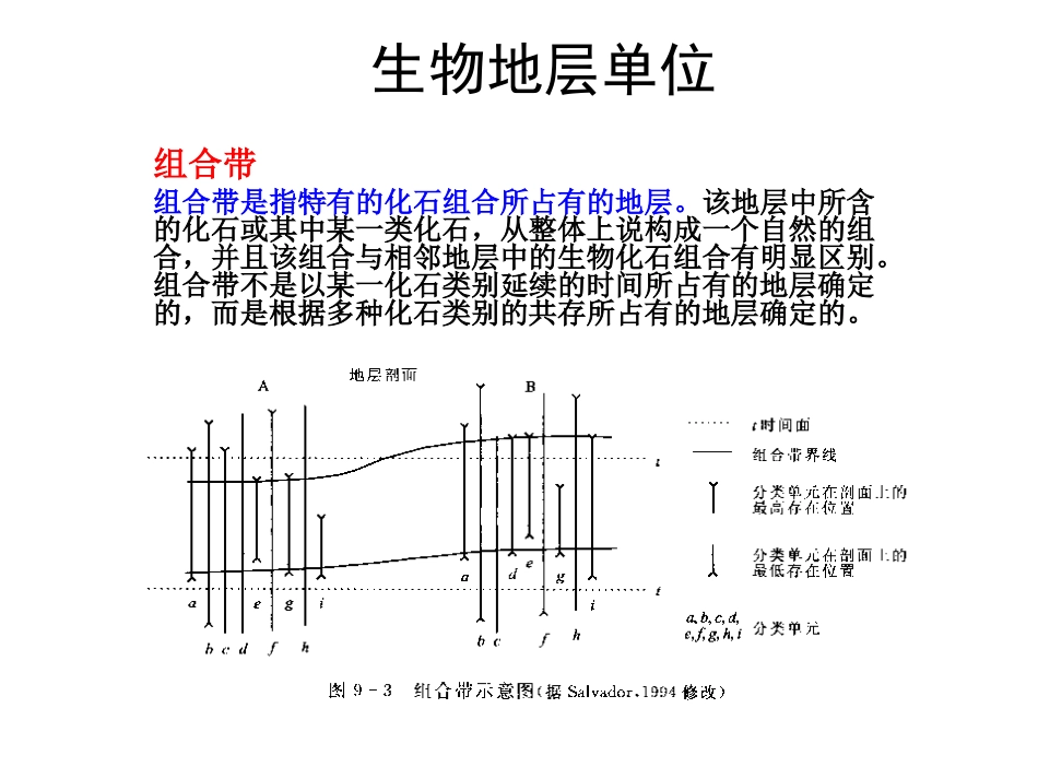 生物地层单位_第3页