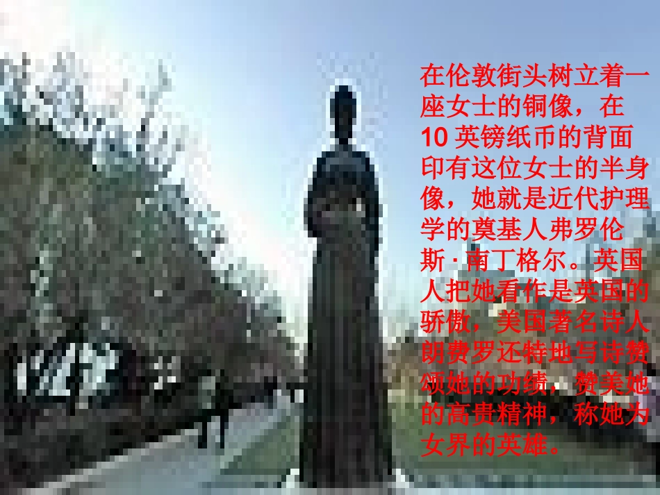 提灯女神ppt_第2页