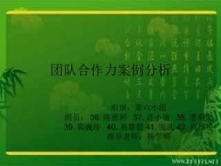 团队合作力分析