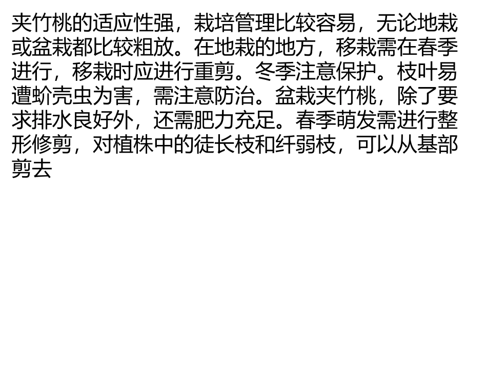夹竹桃种植栽培与管理方法_第1页